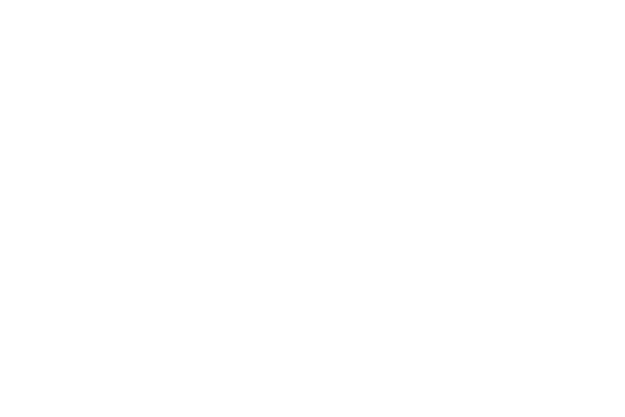 Stier Capital